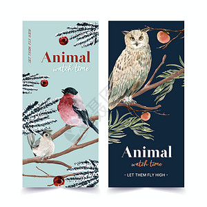 冬季动物传单设计 用猫头鹰 拖着奶嘴的水彩色插图背景图片