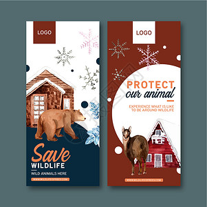 冬季动物传单设计 配有熊水彩色插图背景图片