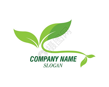 绿叶生态自然元素 vecto 的标志树叶商业太阳发芽农场公司插图植物绿色环境背景图片