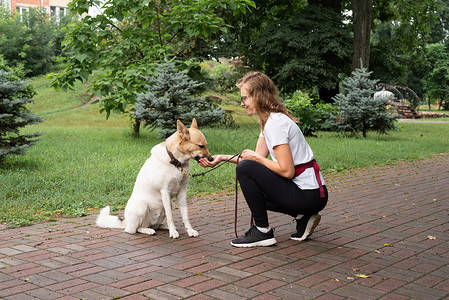 混天绫年轻妇女在公园训练她的狗伴侣犬类动物幸福朋友宠物街道女性乐趣友谊背景