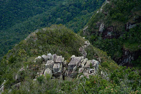 亚洲茂密丛林中的石崖 原生态的自然环境墙纸季节风景旅行岩石爬坡石头场景热带背景图片