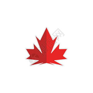 加拿大之花红色的黄色的高清图片