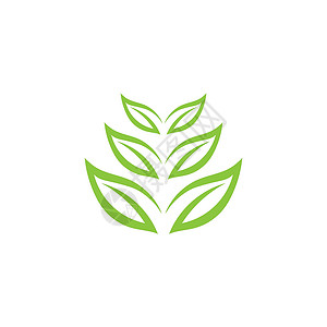 绿叶生态自然元素 vecto横幅生活艺术生物标识贴纸商业植物公司插图背景图片