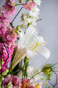 新鲜夏夏花盒百合绣球花花瓣装饰植物群风格作品背景图片
