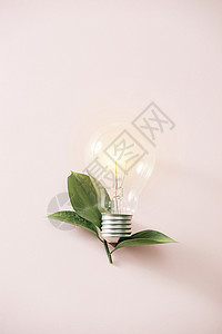 绿色生态能源概念灯泡 粉红背景的灯泡叶植物力量叶子活力插图环境背景图片
