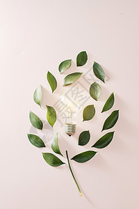 绿色生态能源概念灯泡 粉红背景的灯泡叶插图叶子环境活力植物力量背景图片