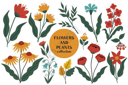 鲜花和植物古董集 现代趋势 以漫画手绘风格收集植物植物 矢量插图背景图片
