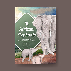 非洲海报海报模板与大象有趣的概念 水彩风格小册子獠牙绘画插图哺乳动物营销广告力量荒野野生动物插画