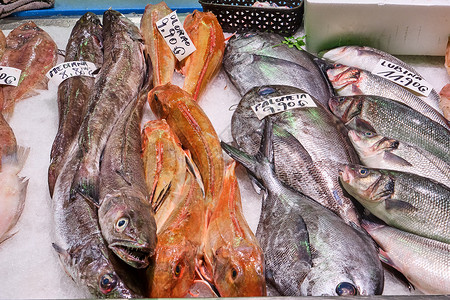 出售新鲜鱼海洋棕褐色盐水美食钓鱼饮食鲭鱼鲈鱼销售海鲜自然高清图片素材