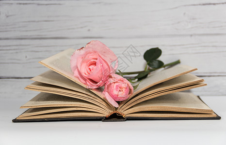 红玫瑰和关于生锈木的书籍文学婚姻浪漫生日阅读白色花瓣花束粉色古董背景图片