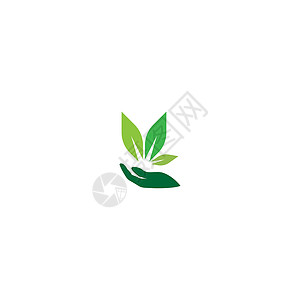手绿叶标志 ico水彩生态桉树森林手绘框架卡片植物学边界叶子背景图片
