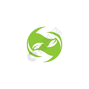 叶标志模板矢量符号植物装饰品插图生物绿色叶子生长环境生态背景图片
