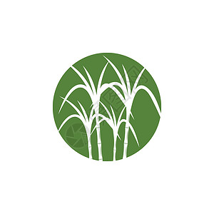 甘蔗 Logo 模板矢量符号植物插图收成棕榈叶子热带标识食物绿色横幅背景图片