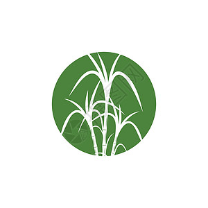 甘蔗 Logo 模板矢量符号插图热带贴纸横幅收成食物产品标签棕榈果汁背景图片