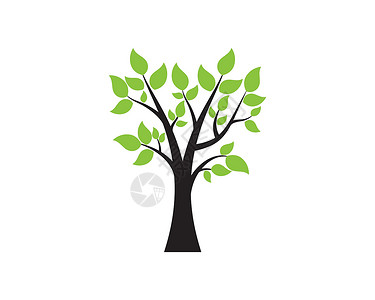 一棵程式化树的树概念与 lette生活插图植物知识树干地球储蓄教育季节生态背景图片