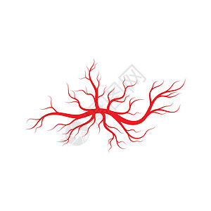 人体静脉和动脉插图设计药品解剖学眼球宏观曲线红色血管生物学医疗眼睛背景图片