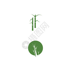 甘蔗 Logo 模板矢量符号白色农场生长种植园植物标识生物绿色农业燃料背景图片