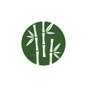 带有绿叶矢量图标模板的竹标志商业木头竹子热带艺术标识白色叶子草本绿色背景图片