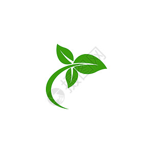 叶生态标志模板 vecto插图生活网络白色植物绿色叶子环境背景图片