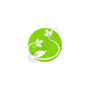 叶生态标志模板 vecto白色绿色叶子插图植物网络环境生活背景图片