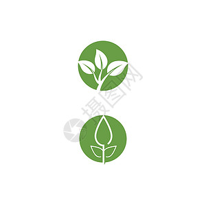 叶标志模板矢量符号环境生态绿色叶子植物装饰品生物生长插图背景图片
