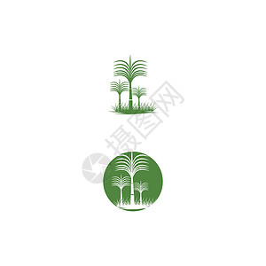 甘蔗 Logo 模板矢量符号燃料食物生长农业标识叶子插图植物种植园地球背景图片