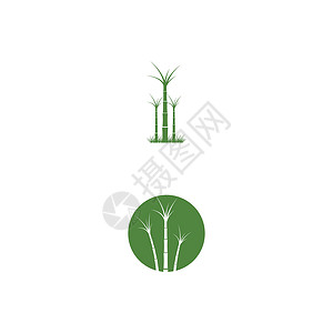 甘蔗 Logo 模板矢量符号地球食物生长植物标识绿色插图白色场地生物背景图片