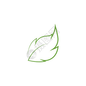 叶标志模板矢量符号生物环境生长装饰品生态叶子插图植物绿色背景图片