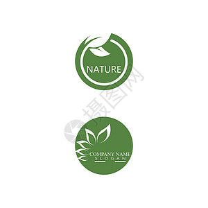叶标志模板矢量符号绿色叶子插图植物环境装饰品生物生长生态背景图片