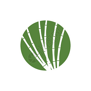 甘蔗 Logo 模板矢量符号插图贴纸生物产品植物热带棕榈食物标识收成背景图片