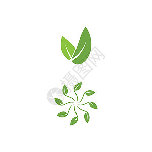 叶标志模板矢量符号叶子绿色生态植物插图生长生物装饰品环境背景图片