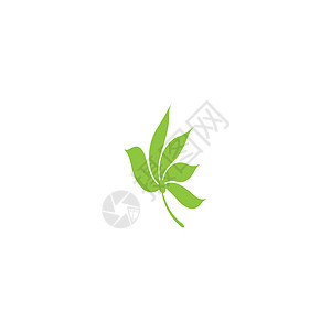 叶标志模板矢量符号装饰品植物环境生态插图绿色生长生物叶子背景图片