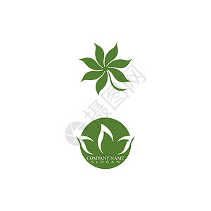 叶标志模板矢量符号生长插图植物生物生态环境叶子装饰品绿色背景图片