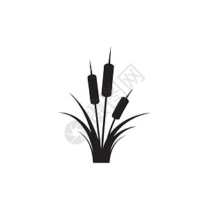 芦苇图标矢量设计模板植物群植物学黑色生长沼泽甘蔗环境插图植物叶子背景图片