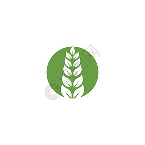 叶标志模板矢量符号植物生长装饰品绿色环境叶子生态生物插图背景图片