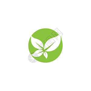叶标志模板矢量符号生物装饰品叶子生长环境绿色植物插图生态背景图片