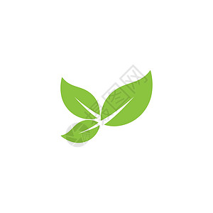 叶标志模板矢量符号植物生长生态插图叶子装饰品生物绿色环境背景图片