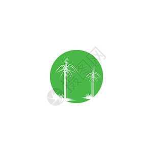甘蔗 Logo 模板矢量符号燃料生长标识地球农业食物白色生物叶子场地背景图片
