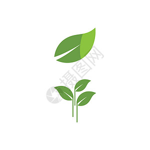叶标志模板矢量符号环境生态绿色叶子生长植物插图装饰品生物背景图片