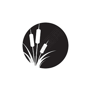 芦苇图标矢量设计模板植物群植物环境插图黑色生长沼泽香蒲叶子植物学背景图片