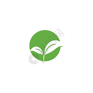 叶标志模板矢量符号叶子生物环境生长绿色装饰品插图植物生态背景图片