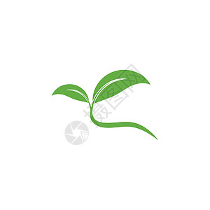 叶标志模板矢量符号环境叶子植物装饰品生态插图绿色生物生长背景图片