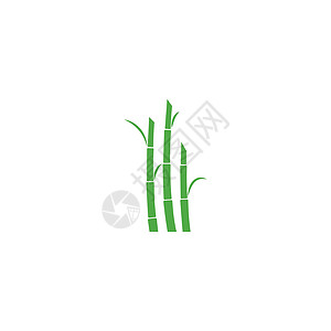 甘蔗 Logo 模板矢量符号生物农场燃料插图白色生长农业地球标识种植园背景图片