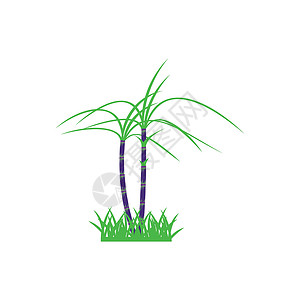 甘蔗 Logo 模板矢量符号农业种植园农场食物燃料生物植物白色场地标识背景图片