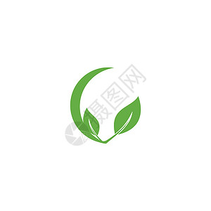 叶标志模板矢量符号绿色生态插图生物环境植物叶子装饰品生长背景图片