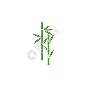 竹 Logo 模板矢量 ico叶子木头艺术热带温泉植物圆圈标识按摩插图背景图片