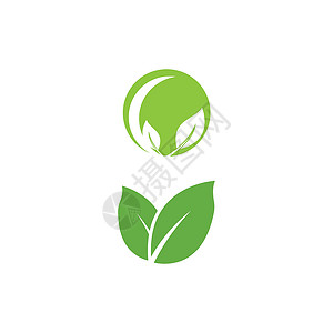 叶标志模板矢量符号装饰品植物插图叶子环境生态生物生长绿色背景图片