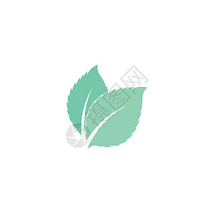 叶薄荷标志模板矢量符号草本植物香气植物插图白色草本艺术食物药品薄荷背景图片