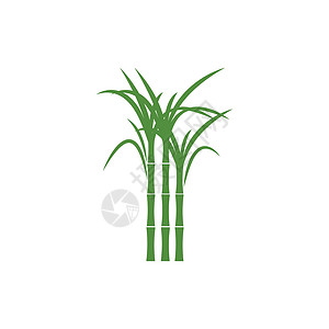 甘蔗 Logo 模板矢量符号棕榈绿色颗粒状果汁标签生物产品贴纸植物叶子背景图片