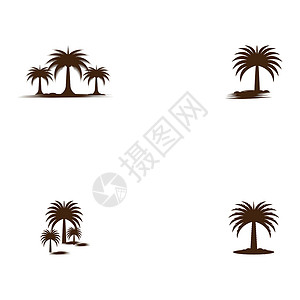设置日期树徽标模板矢量符号植物白色海滩叶子食物热带黑色旅行水果棕榈背景图片